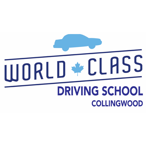 world class driving school favicon